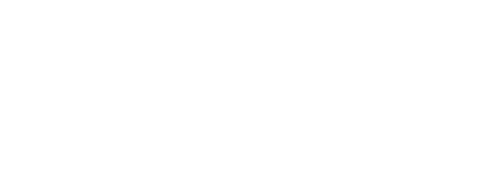 Dwarf Engineering